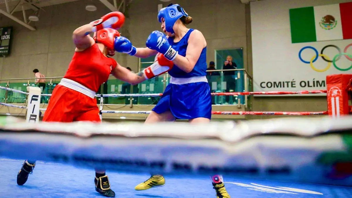 WhatsApp Image 2026-02-03 at 13.37.20