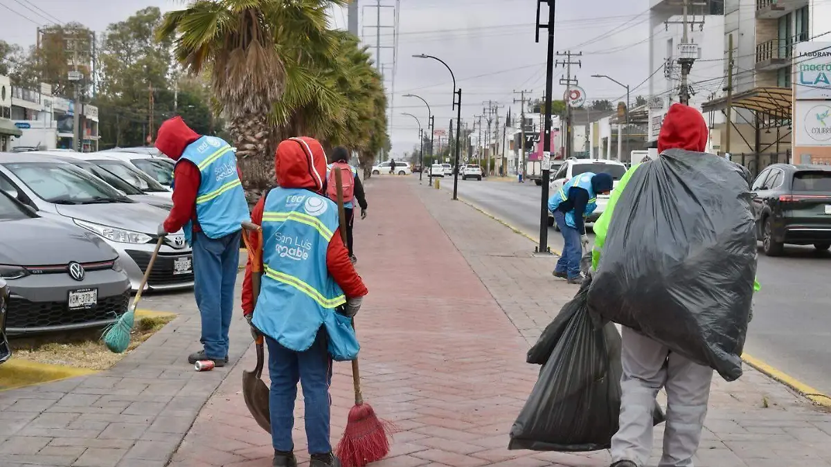 Limpieza de calles y jaridnes