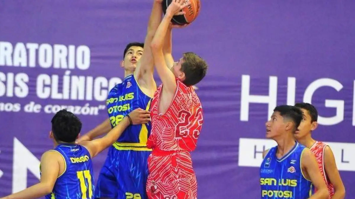 Festival Nacional Minibasket 2026