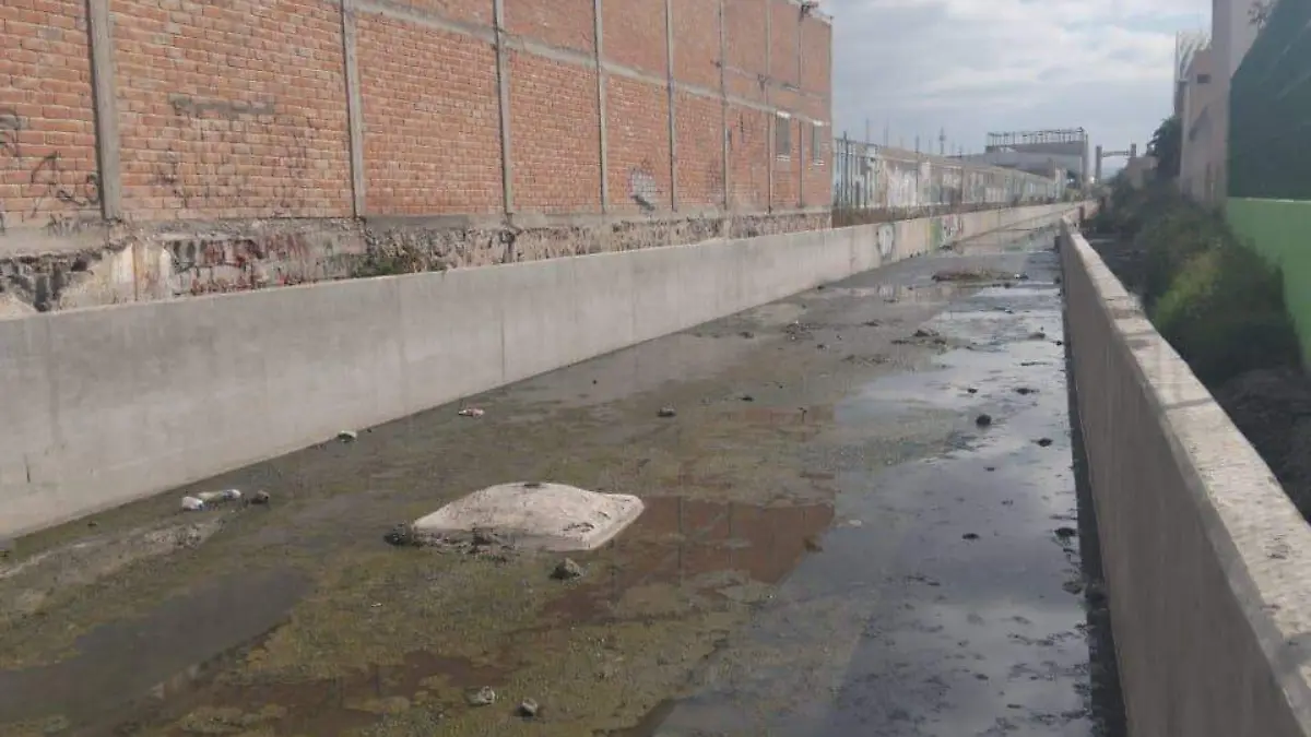 WhatsApp Image 2026-02-05 at 12.57.15 (1)