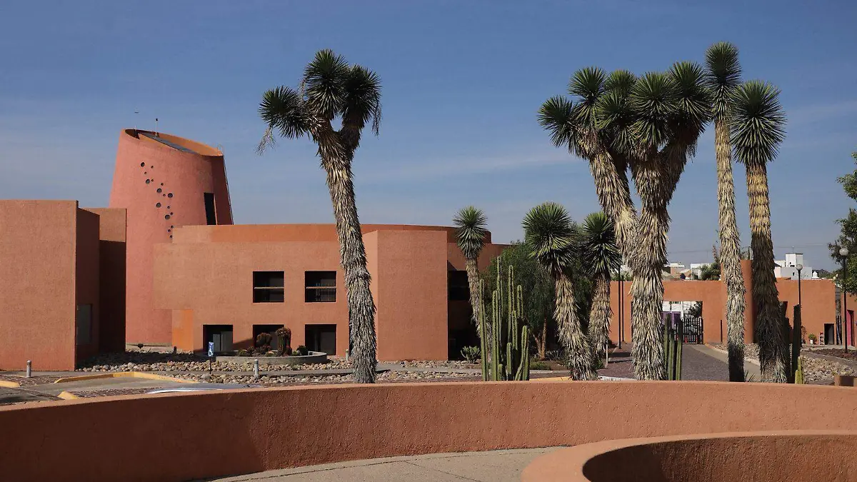 WhatsApp Image 2026-02-05 at 15.26.15