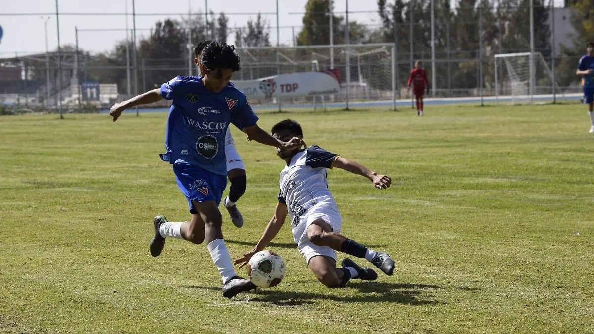 WhatsApp Image 2026-02-06 at 13.51.17