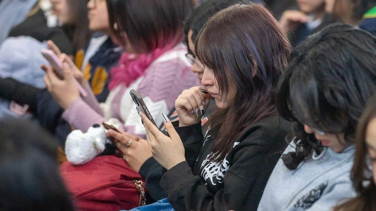 WhatsApp Image 2026-02-06 at 12.45.24