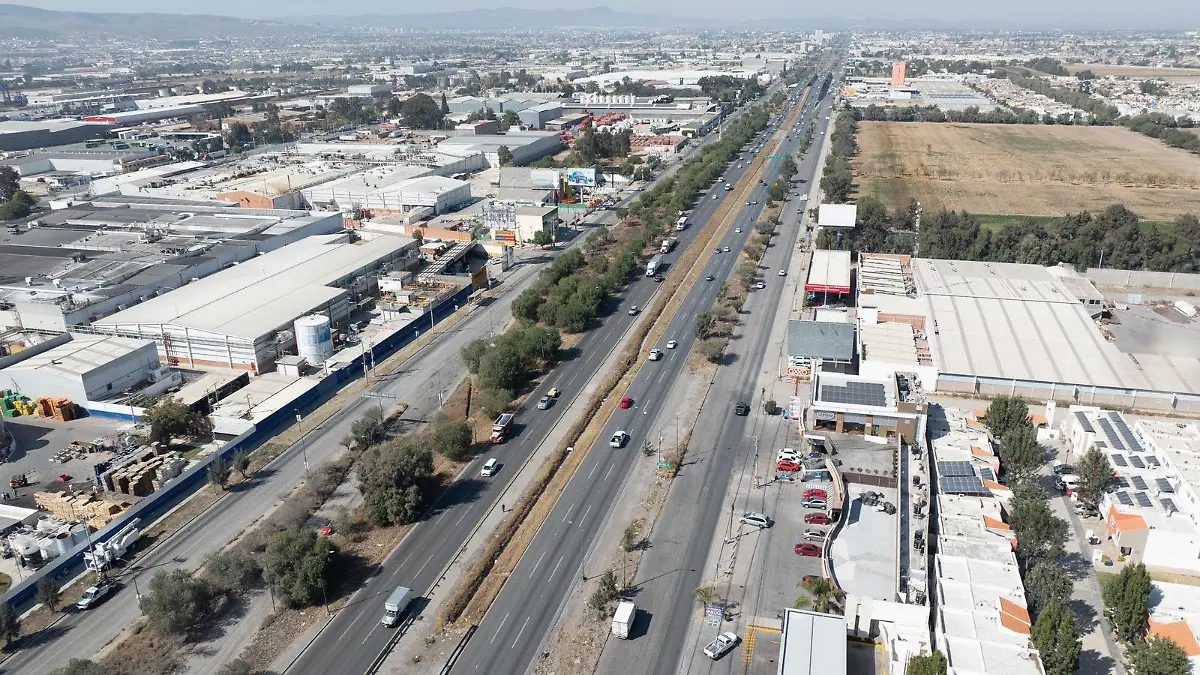 WhatsApp Image 2026-02-06 at 16.55.11