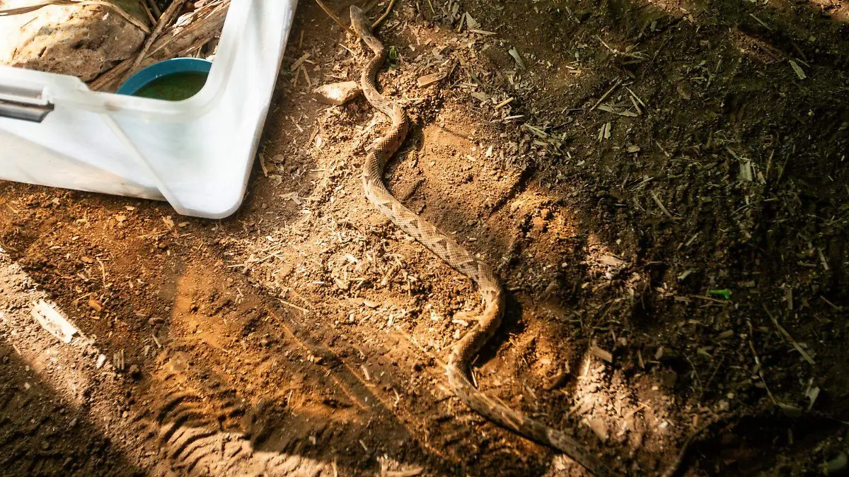 WhatsApp Image 2026-02-08 at 3.08.29 PM