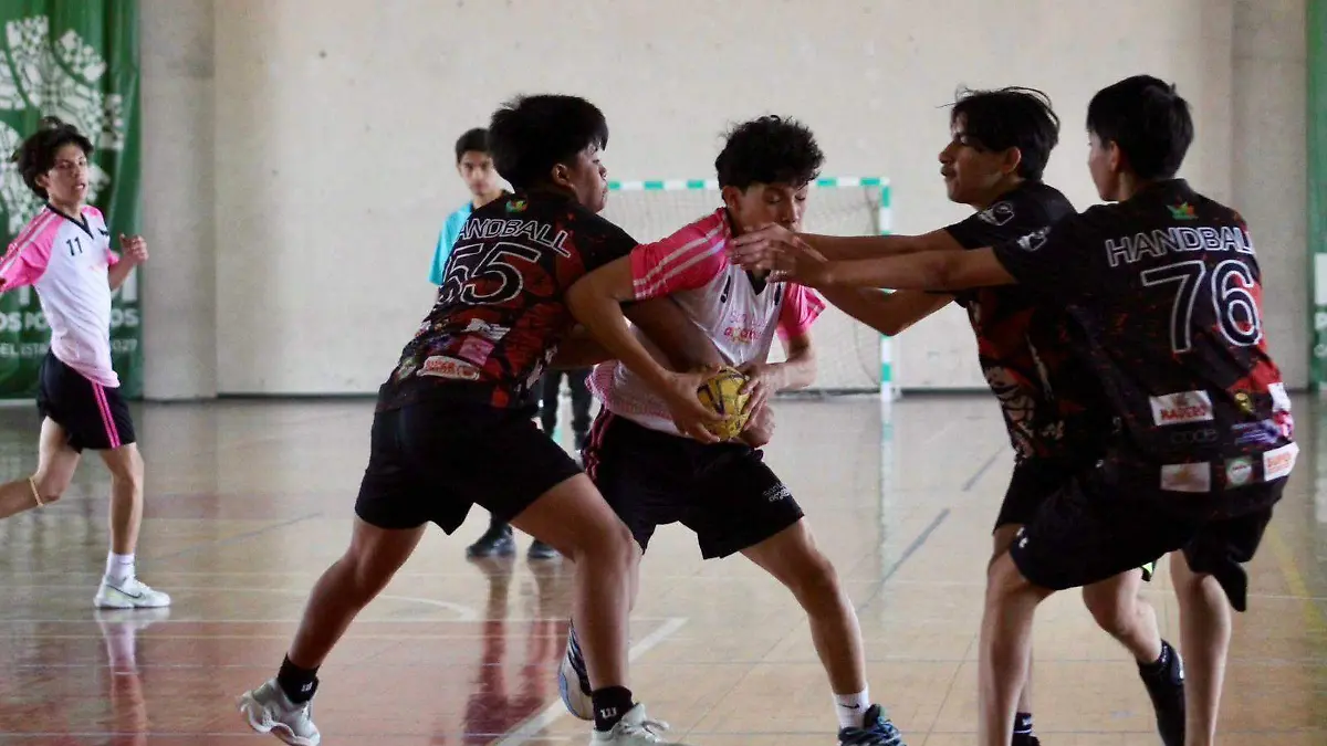 WhatsApp Image 2026-02-09 at 11.31.23