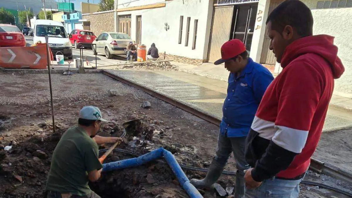 WhatsApp Image 2026-02-09 at 2.03.56 PM