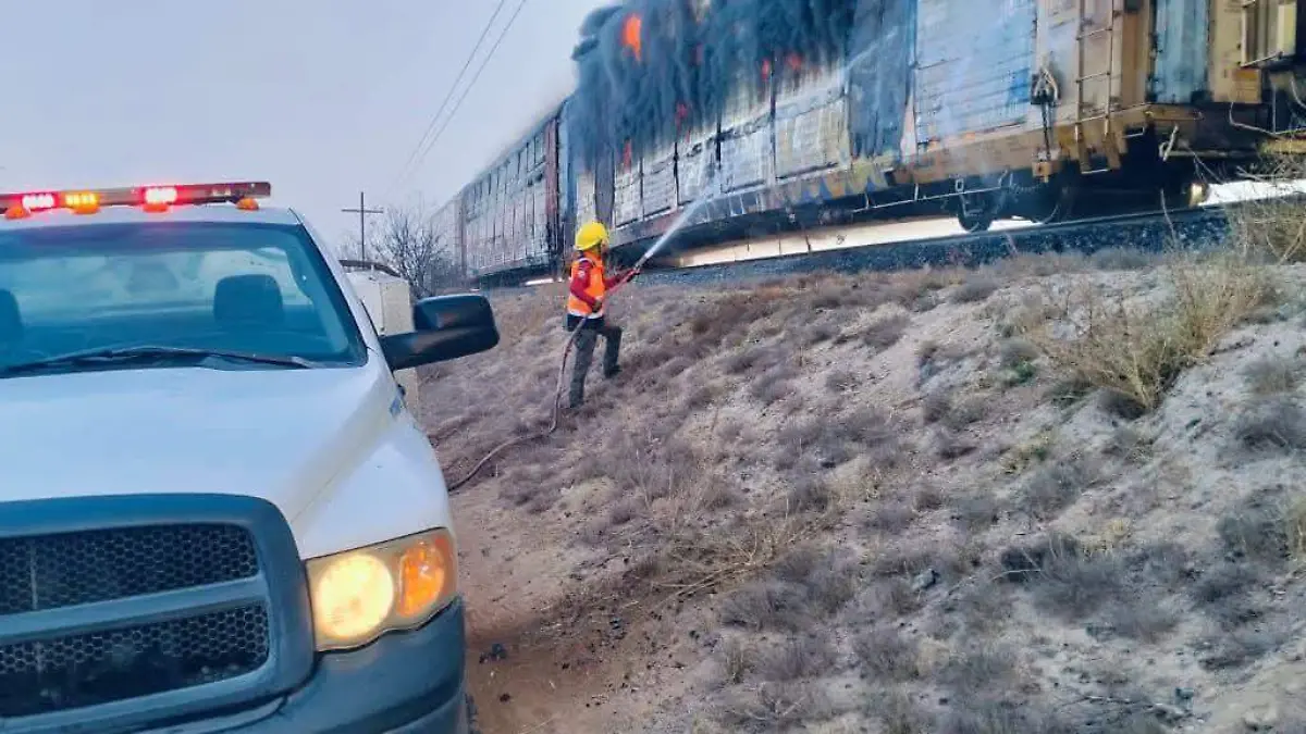 WhatsApp Image 2026-02-09 at 4.27.19 PM