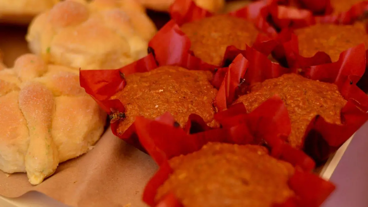 WhatsApp Image 2026-02-09 at 1.24.24 PM