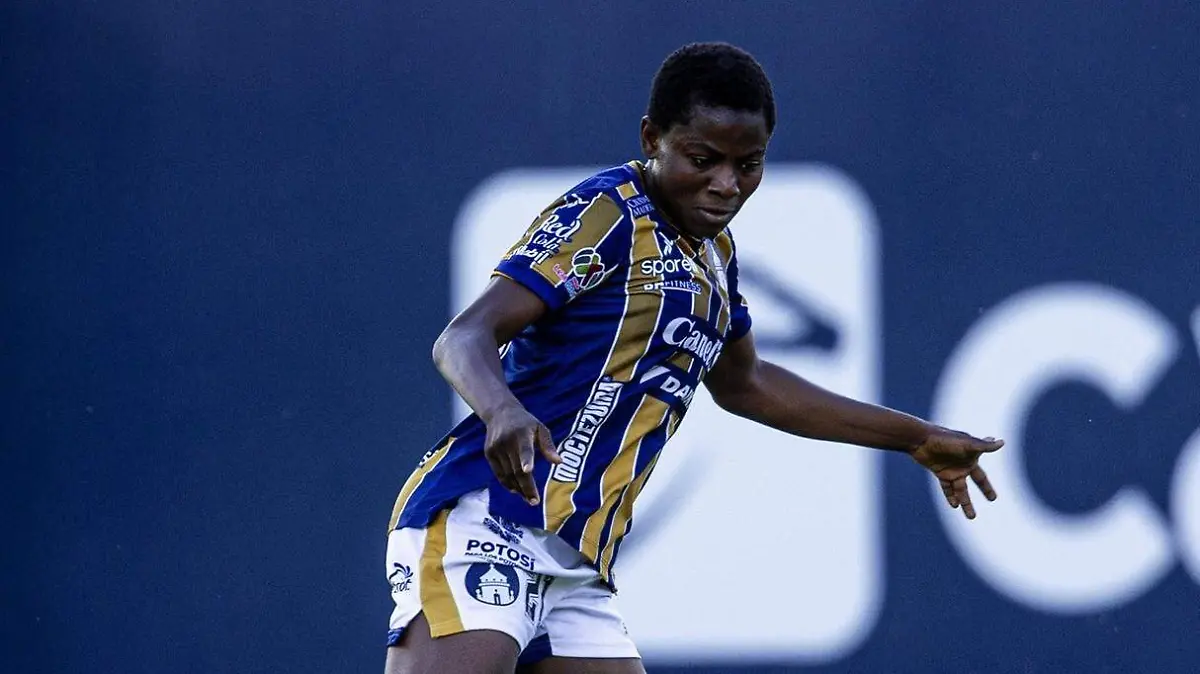 WhatsApp Image 2026-02-09 at 3.04.13 PM