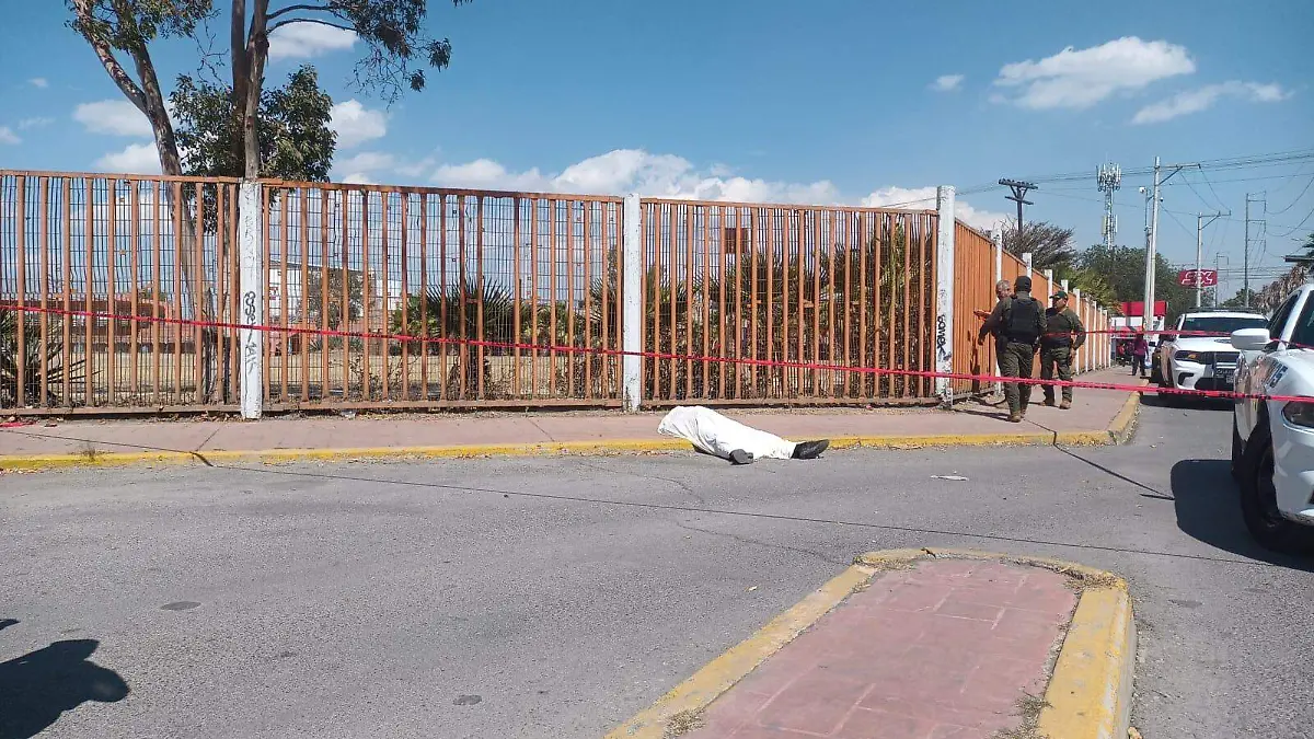 WhatsApp Image 2026-02-10 at 16.15.04