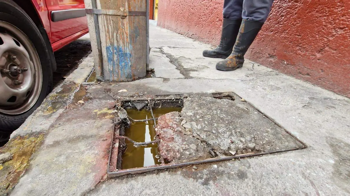 WhatsApp Image 2026-02-10 at 12.36.37