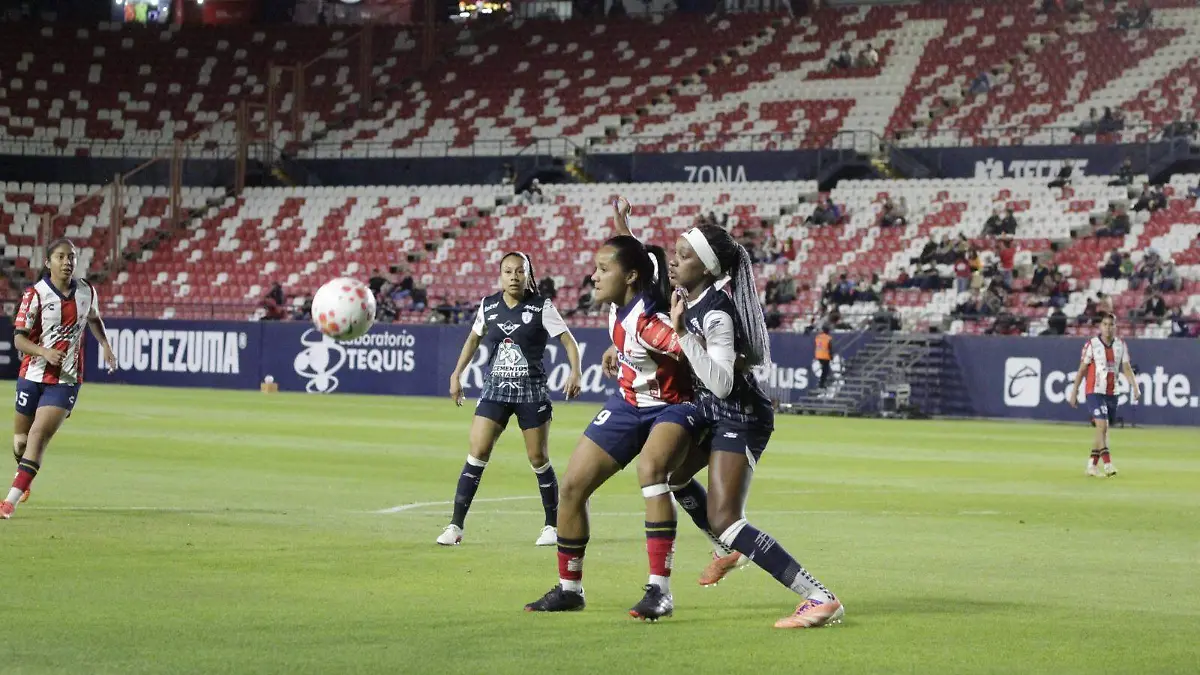 WhatsApp Image 2026-02-10 at 8.38.35 PM