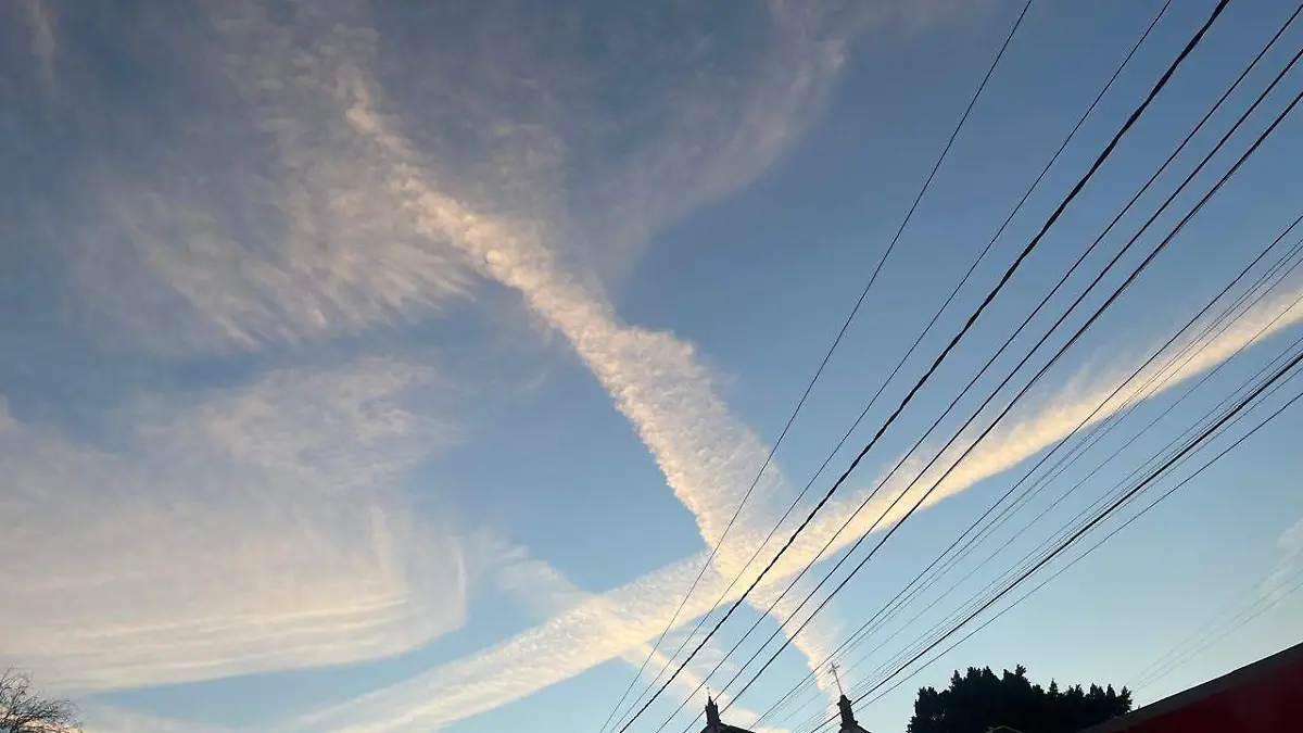 WhatsApp Image 2026-02-10 at 08.38.30