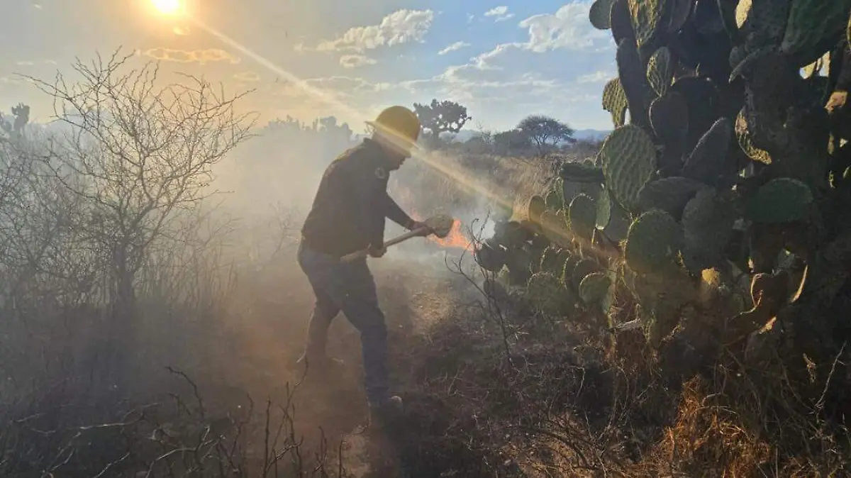 Incendios activos en SLP