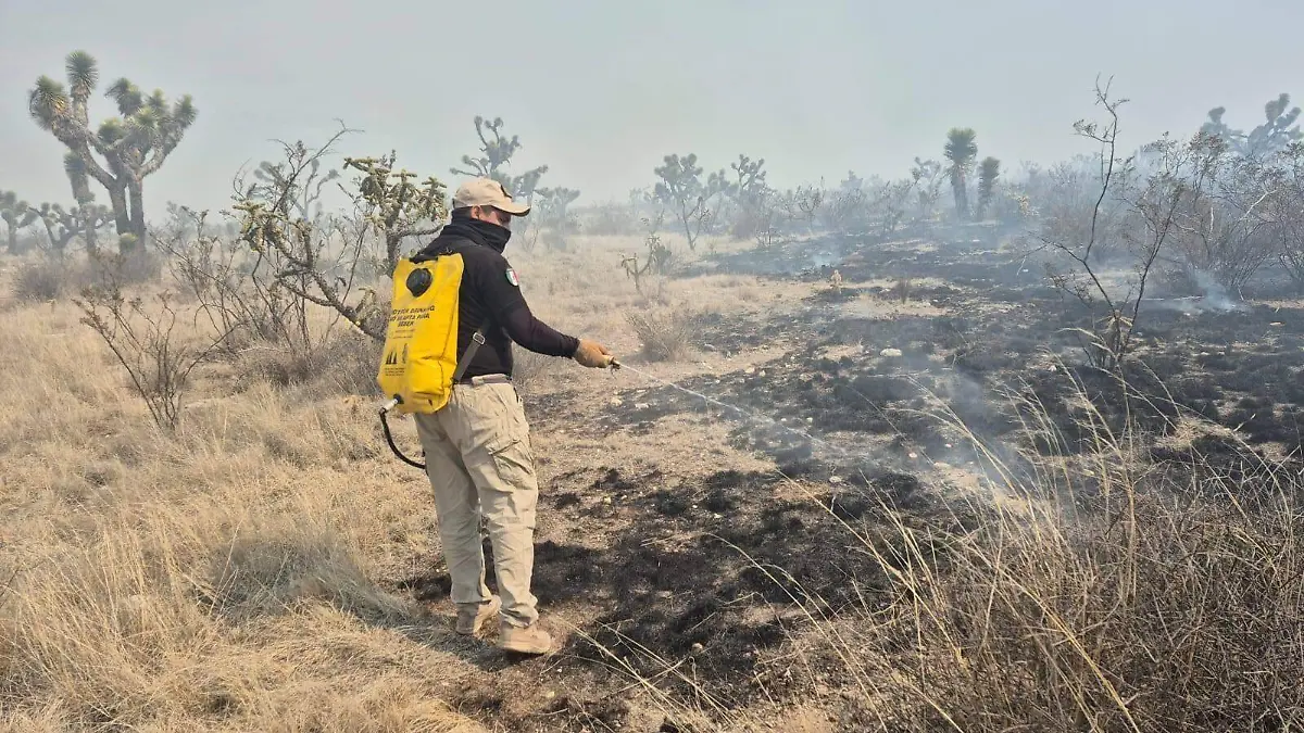 Incendios activos en SLP