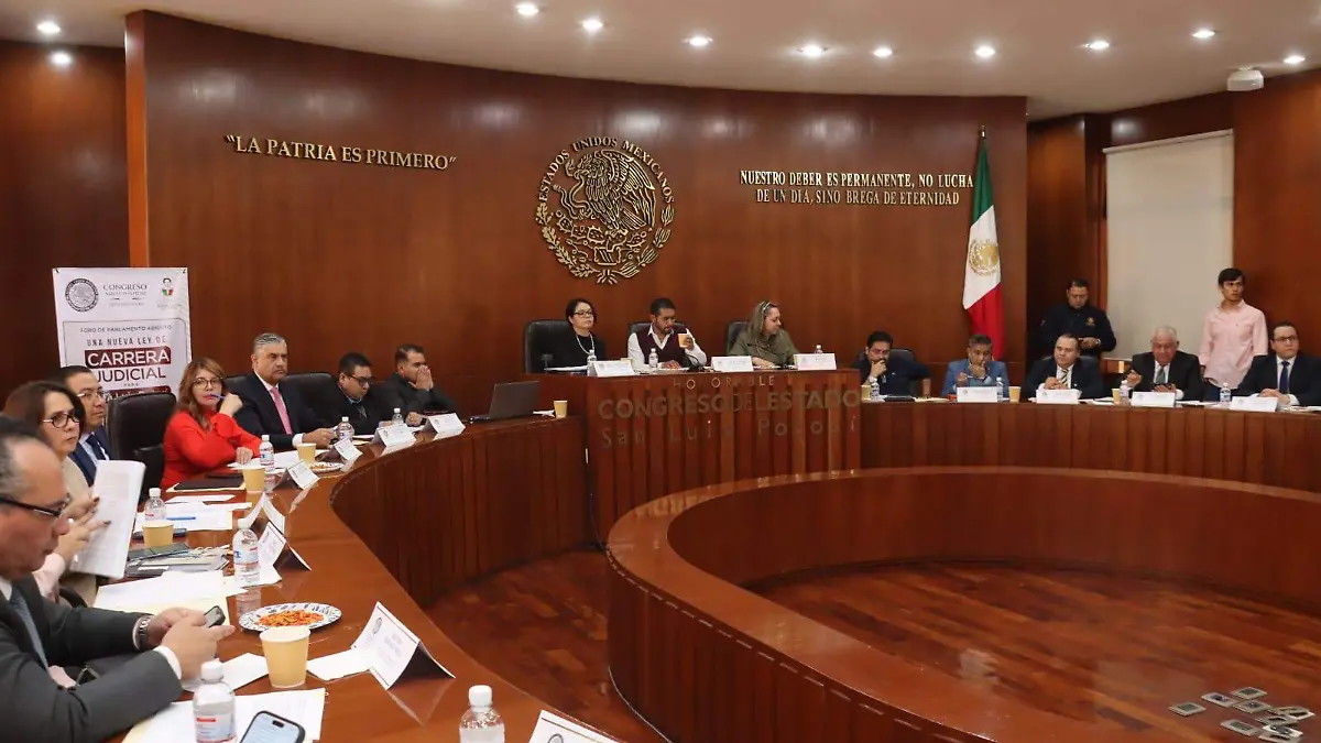 WhatsApp Image 2026-02-11 at 14.06.42