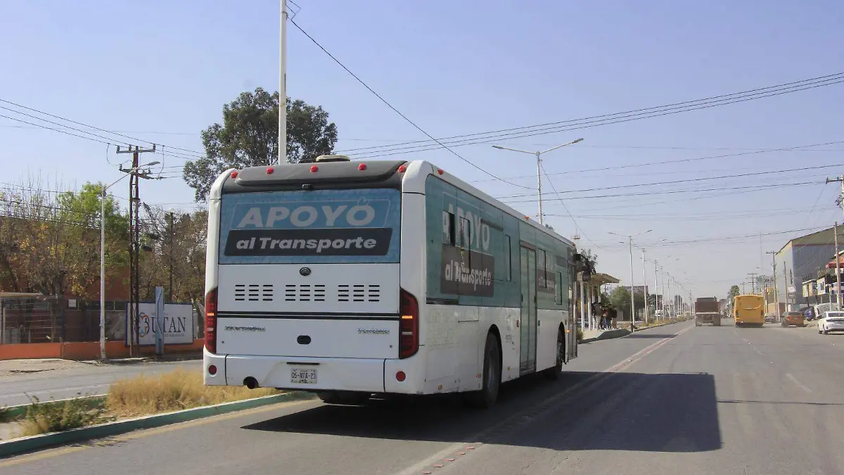 WhatsApp Image 2026-02-11 at 15.19.05