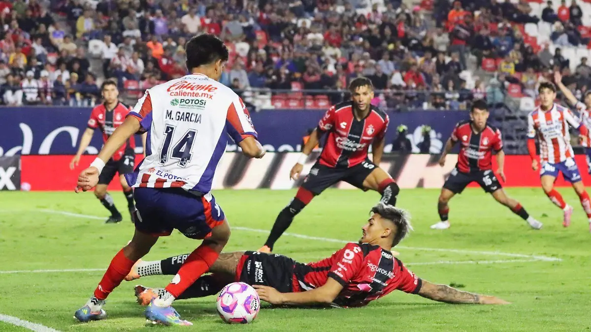 WhatsApp Image 2026-02-11 at 15.59.39