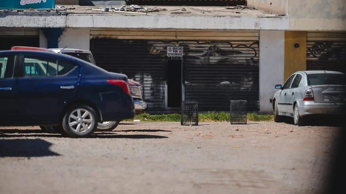 WhatsApp Image 2026-02-11 at 14.07.53