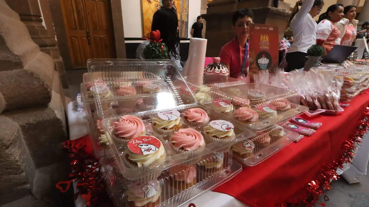 WhatsApp Image 2026-02-12 at 14.29.02