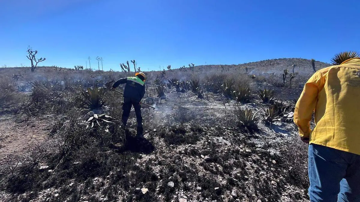 Incendio en Santo domingo