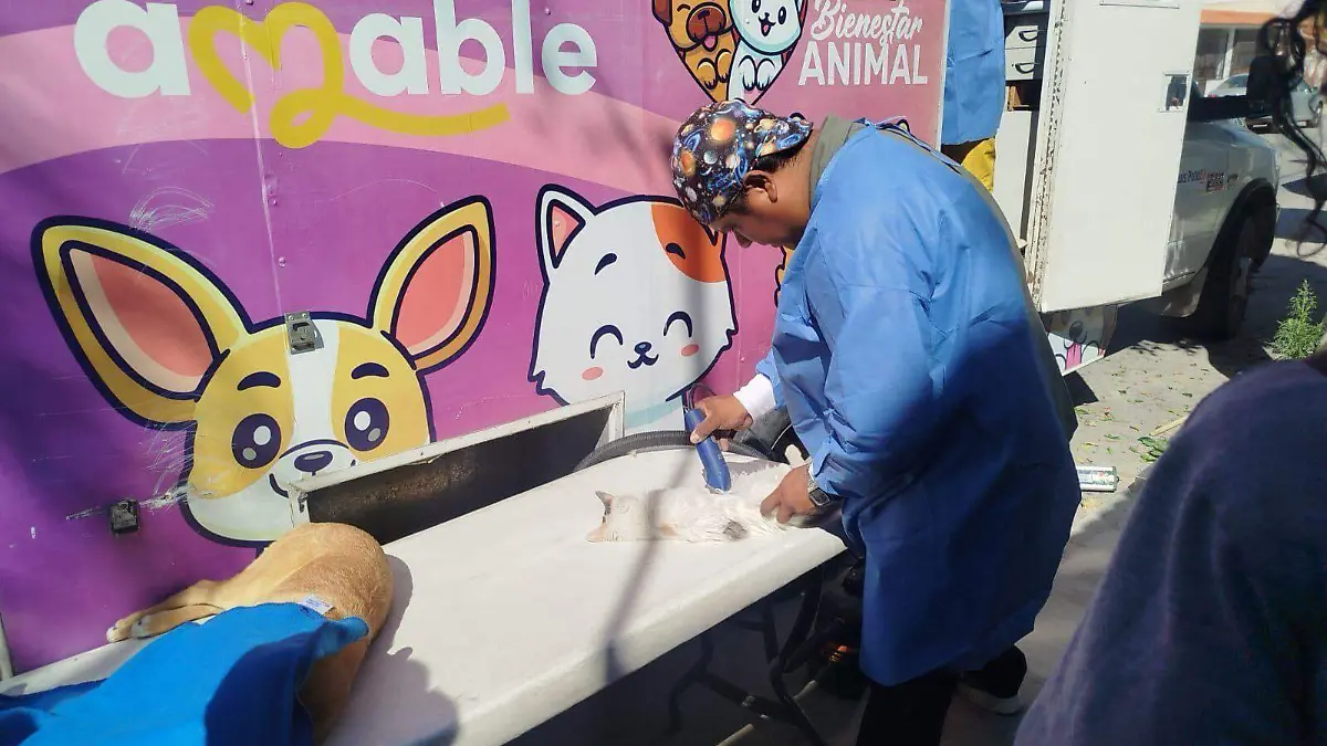 WhatsApp Image 2026-02-12 at 19.33.32