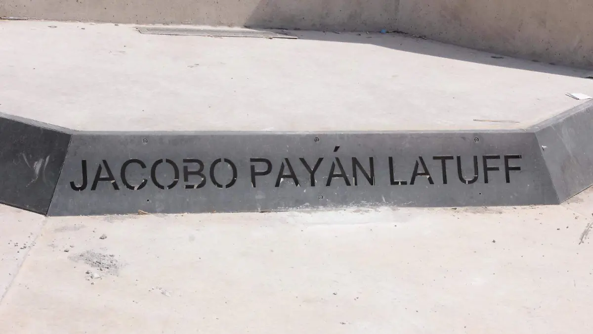 WhatsApp Image 2026-02-12 at 14.57.33