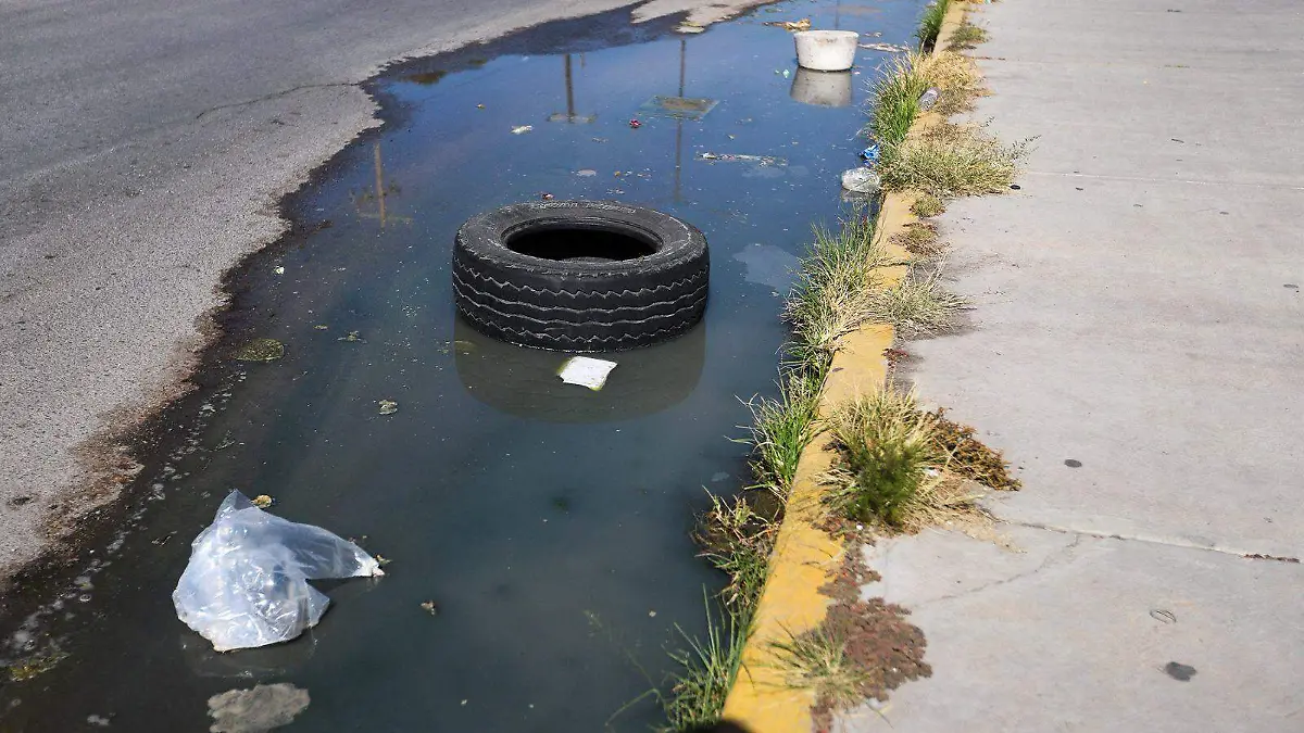 WhatsApp Image 2026-01-25 at 14.07.00