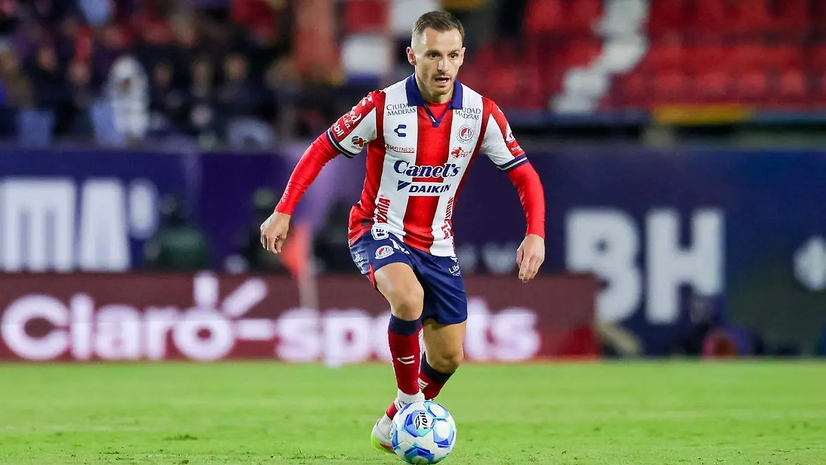 WhatsApp Image 2026-02-12 at 15.50.06