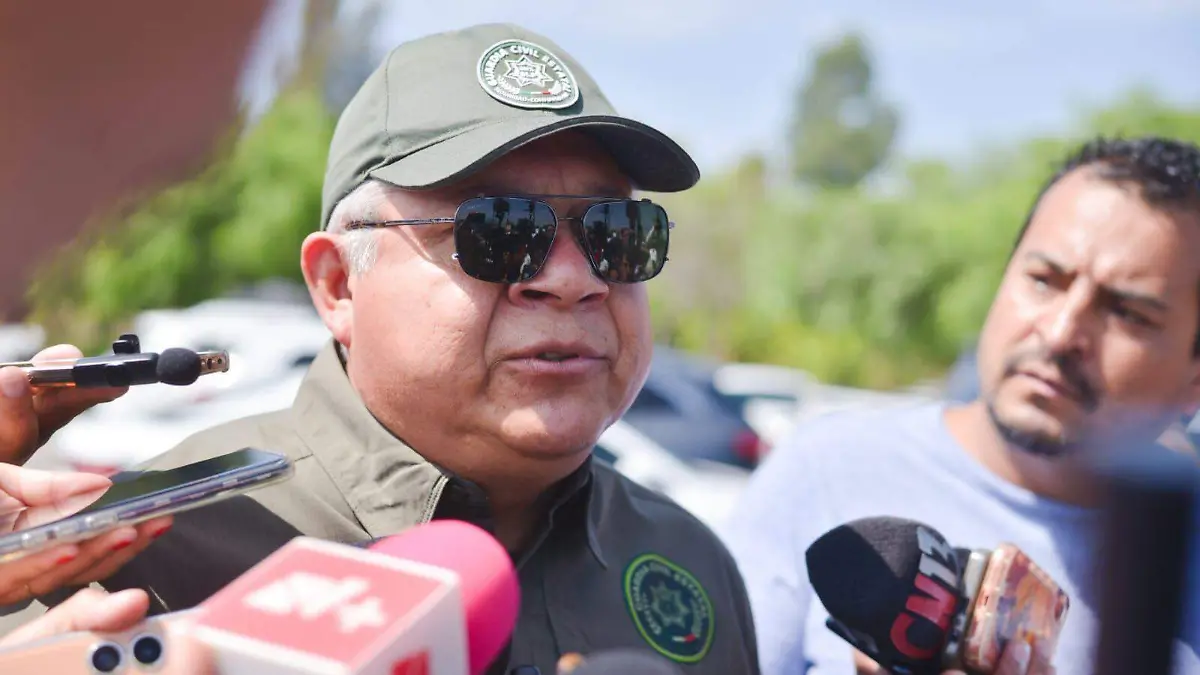 WhatsApp Image 2026-02-12 at 16.46.01