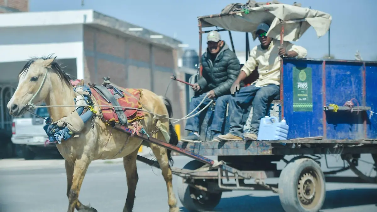 WhatsApp Image 2026-02-12 at 15.36.34