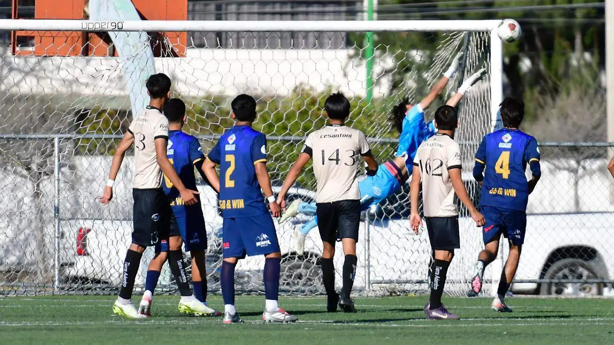 WhatsApp Image 2026-02-13 at 4.18.36 PM