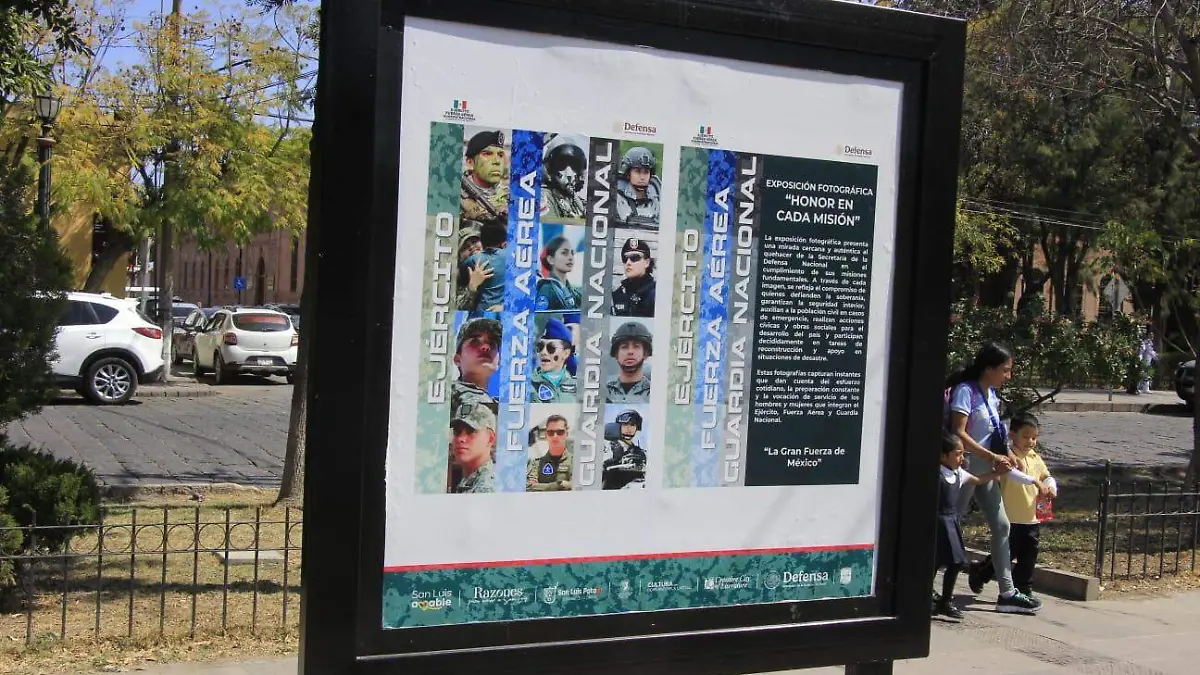 WhatsApp Image 2026-02-13 at 3.01.35 PM