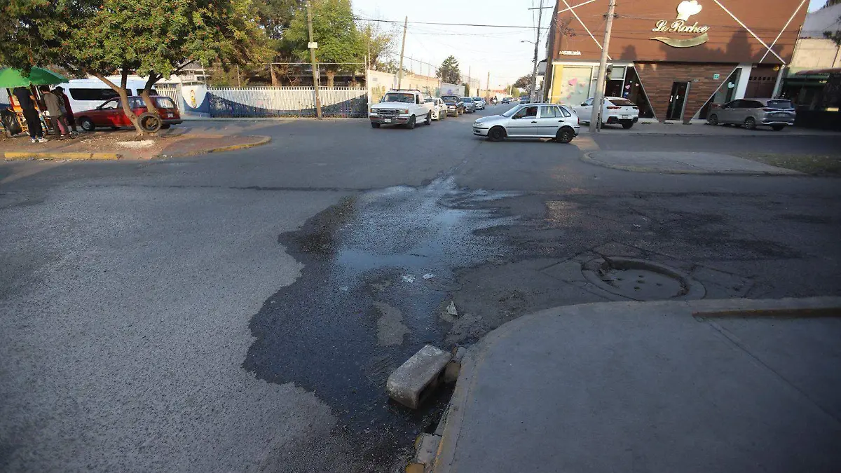 WhatsApp Image 2026-02-13 at 5.36.30 PM