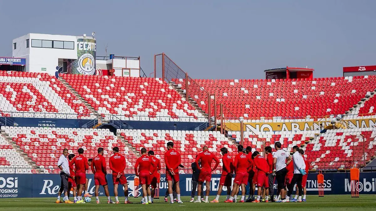 WhatsApp Image 2026-02-13 at 3.34.43 PM