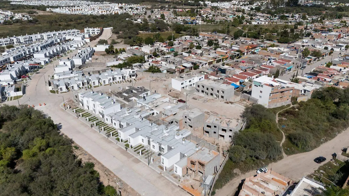 WhatsApp Image 2026-02-13 at 3.06.48 PM