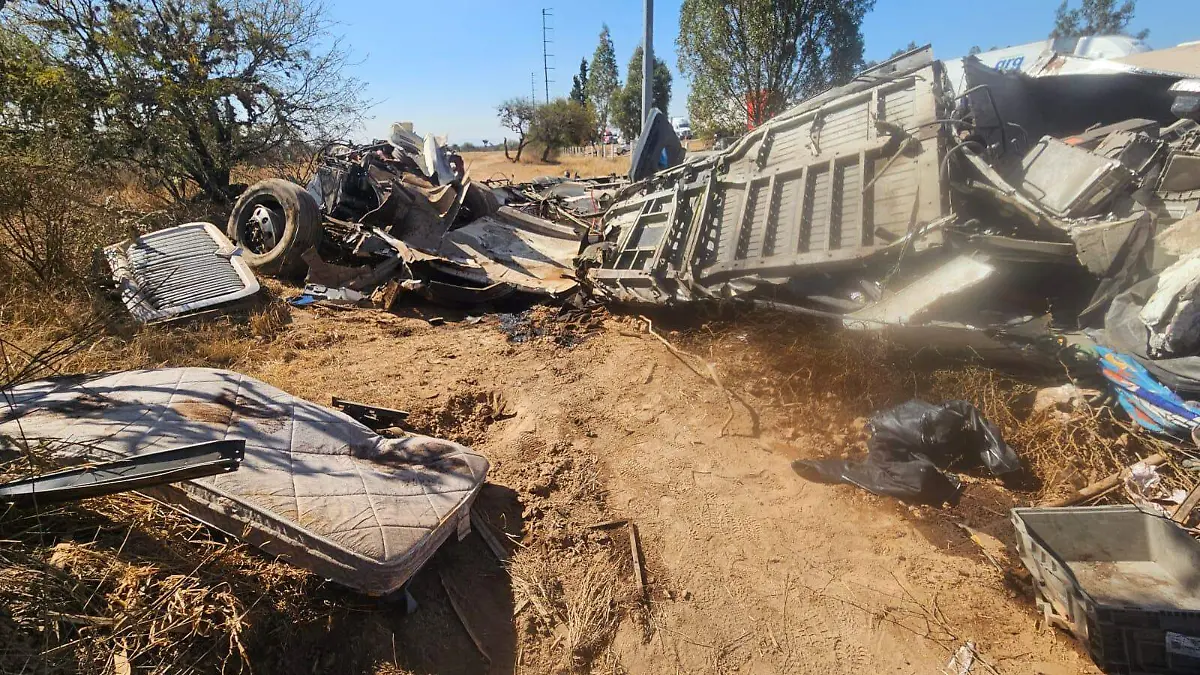 WhatsApp Image 2026-02-14 at 17.11.39