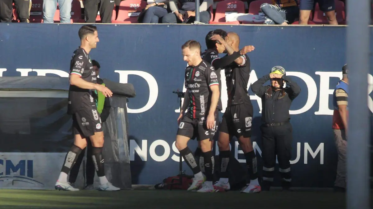 PHOTO-2026-02-14-17-53-46 2