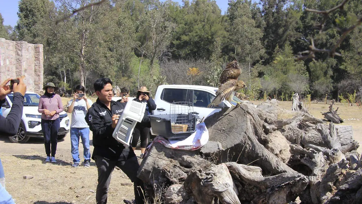 WhatsApp Image 2026-02-15 at 11.40.25 AM