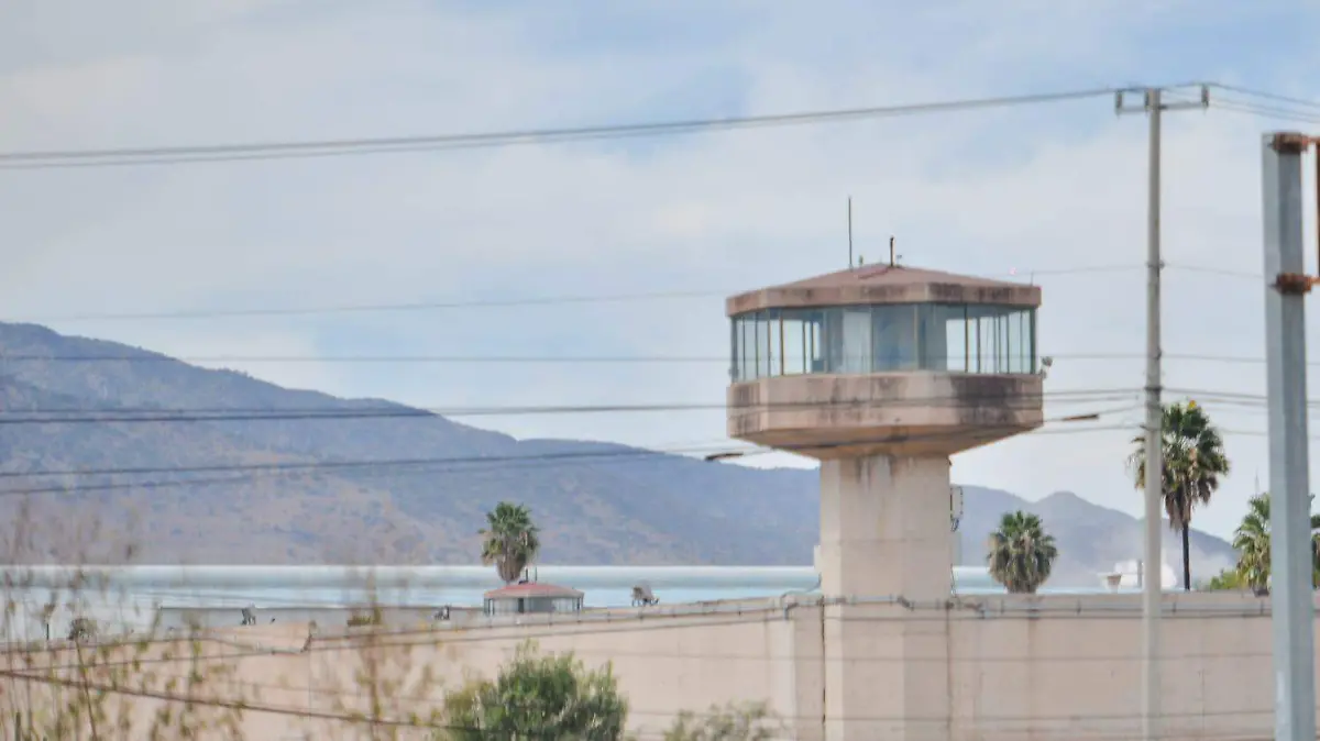 WhatsApp Image 2026-02-15 at 1.55.46 PM