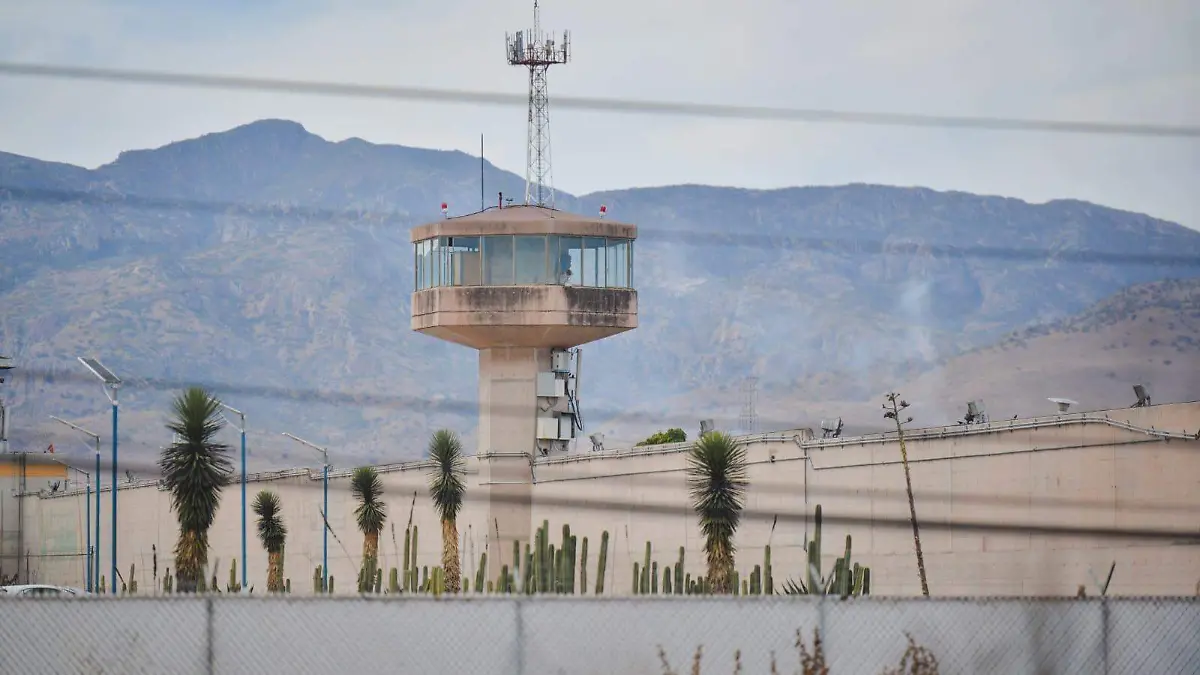 WhatsApp Image 2026-02-15 at 1.55.45 PM