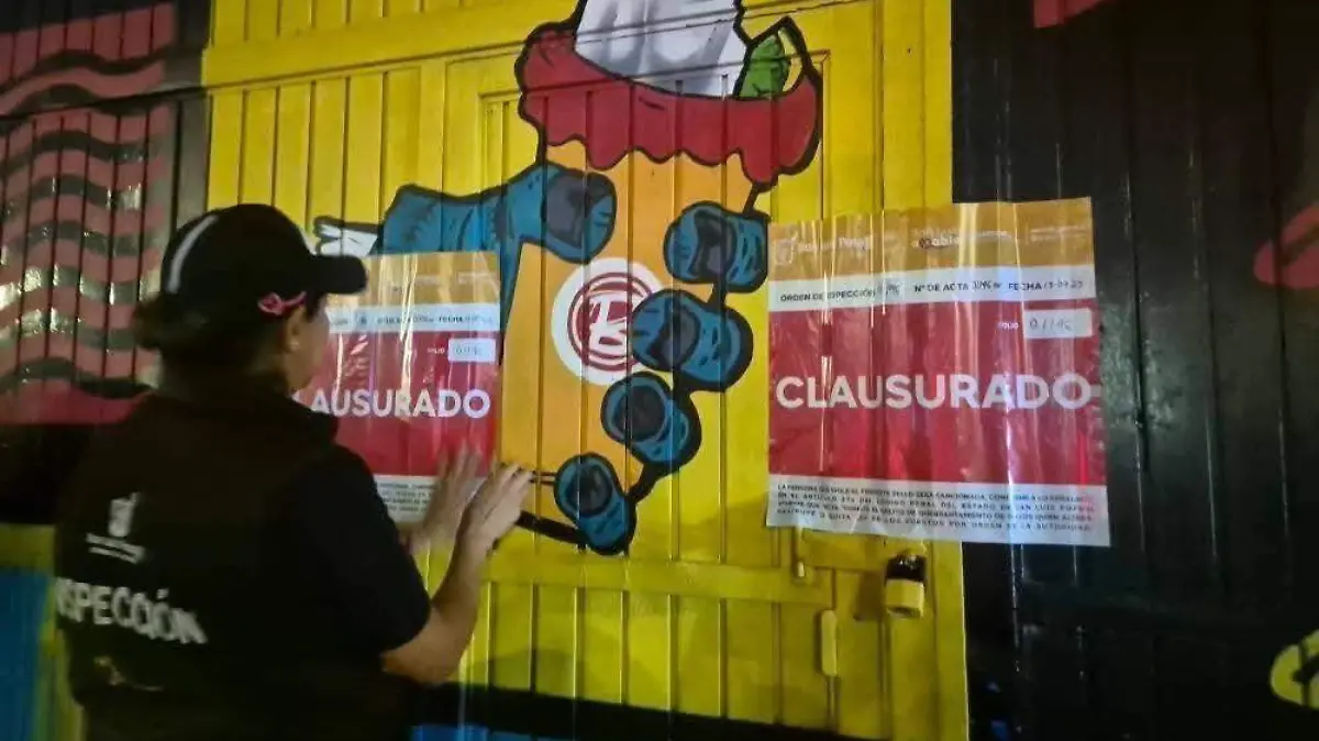 WhatsApp Image 2026-02-15 at 2.12.56 PM