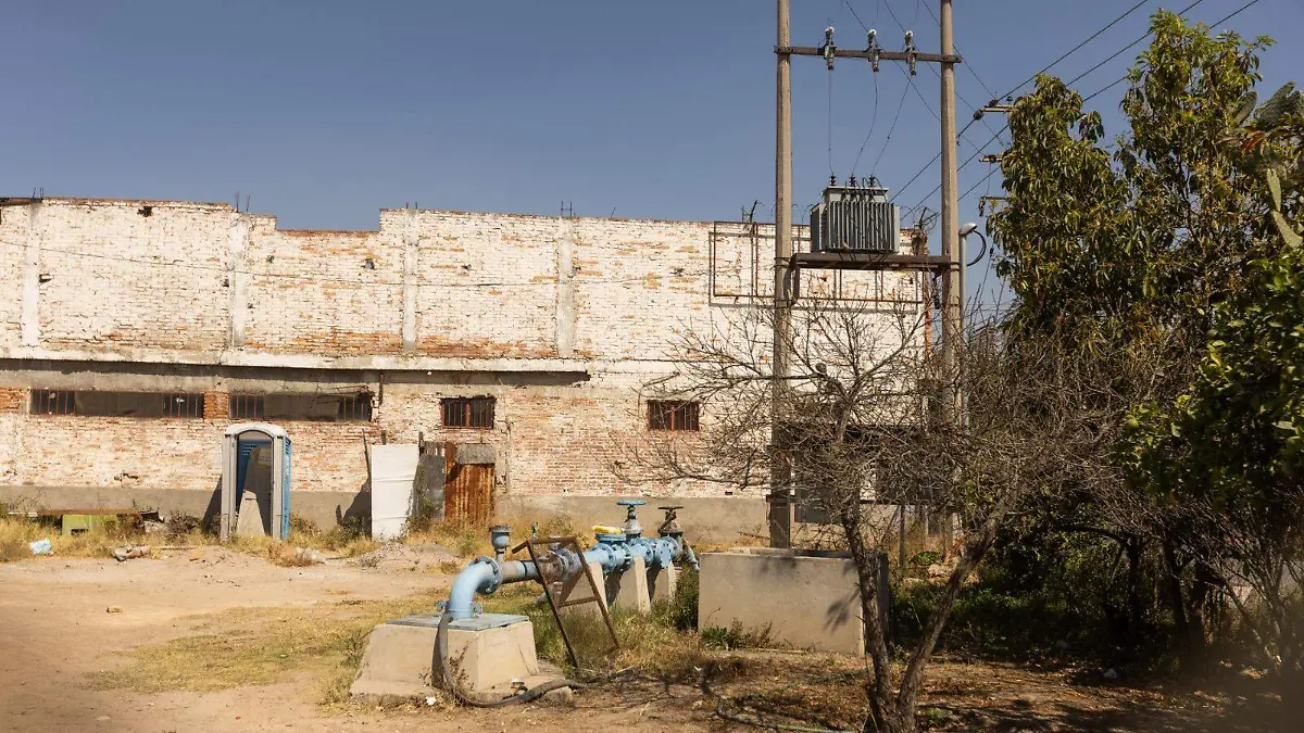 WhatsApp Image 2026-02-15 at 2.18.56 PM