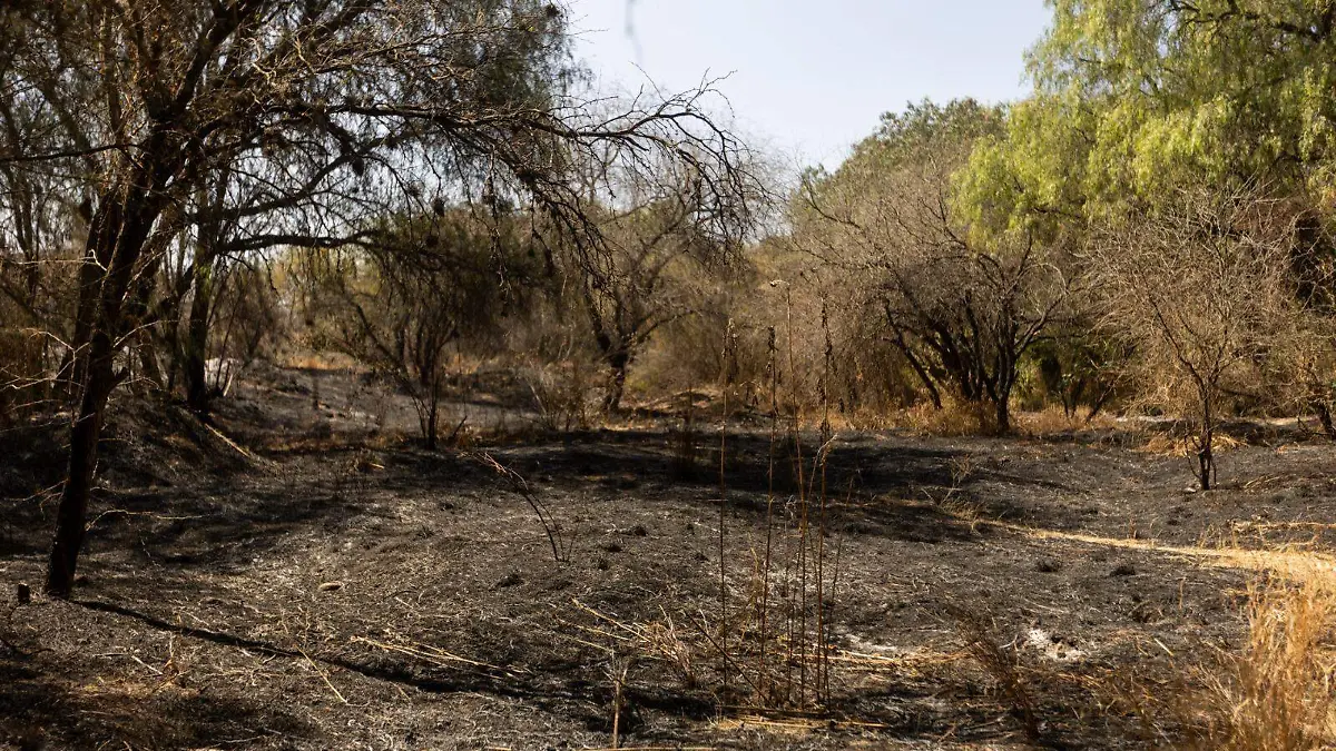 WhatsApp Image 2026-02-16 at 13.25.08