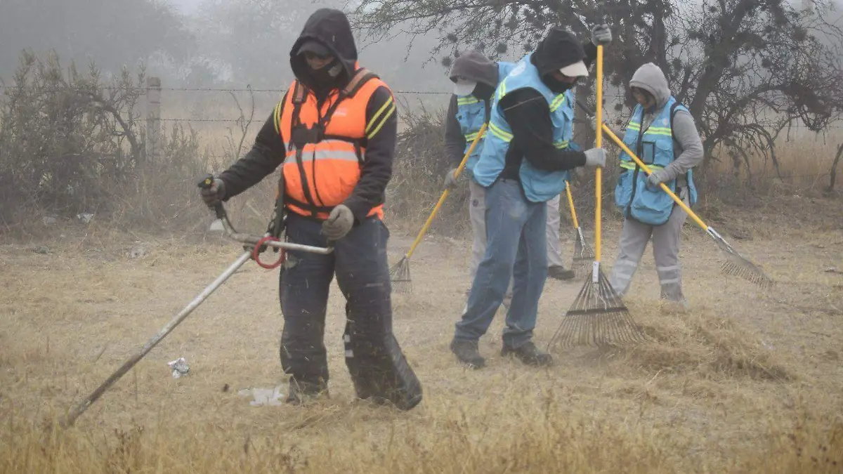 WhatsApp Image 2026-02-16 at 2.42.52 PM