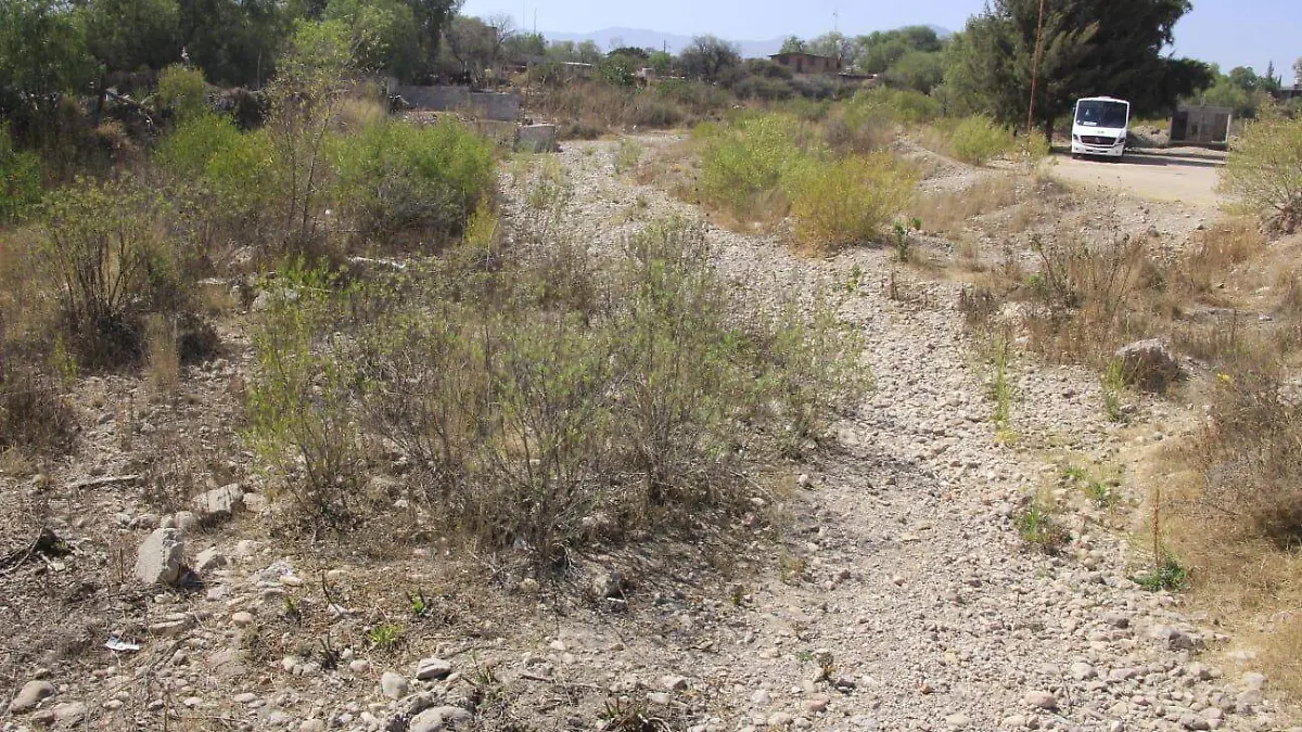 WhatsApp Image 2026-02-16 at 2.00.52 PM