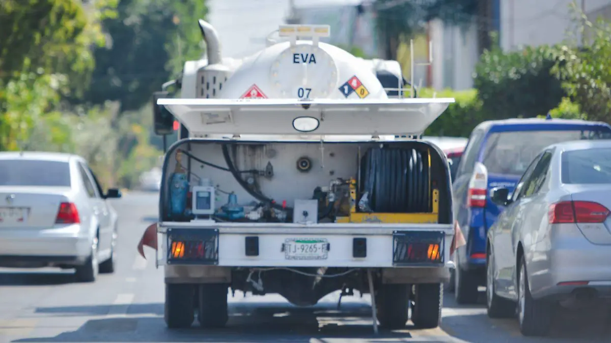 WhatsApp Image 2026-02-16 at 1.24.08 PM