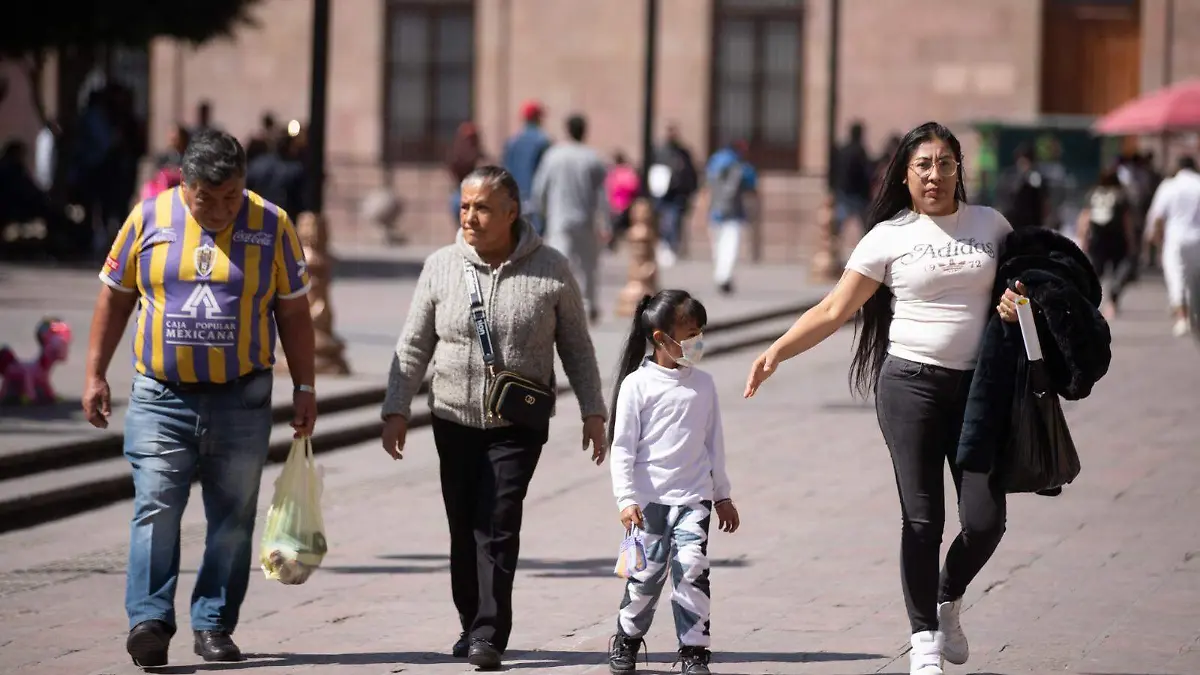 WhatsApp Image 2026-02-17 at 2.49.40 PM