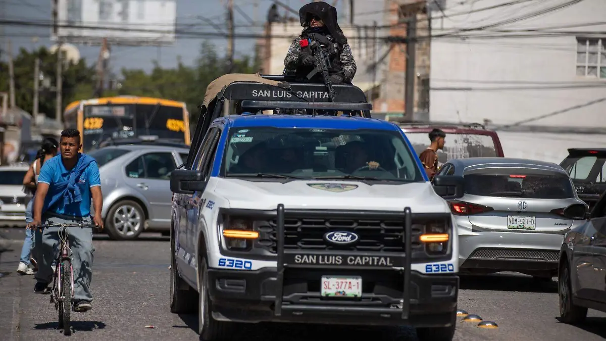 WhatsApp Image 2026-02-17 at 3.01.41 PM